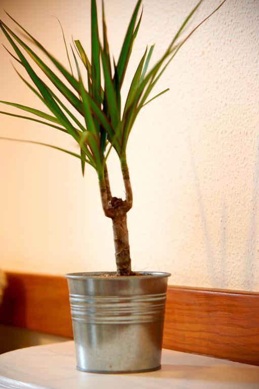 Apartamento Garden Saldanha Lisboa