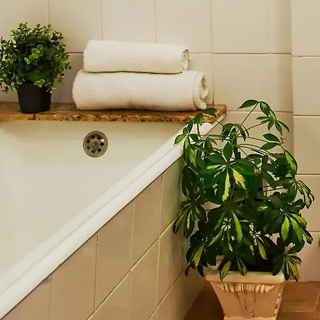 Central Garden Saldanha Apartment Lisboa Habitación foto