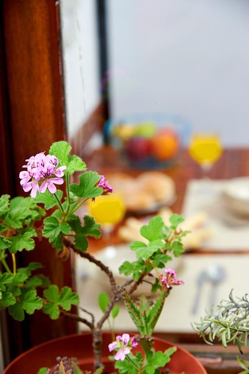 Appartement Garden Saldanha Lissabon
